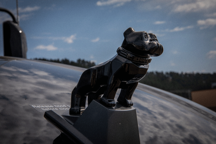 Mack Noir 6